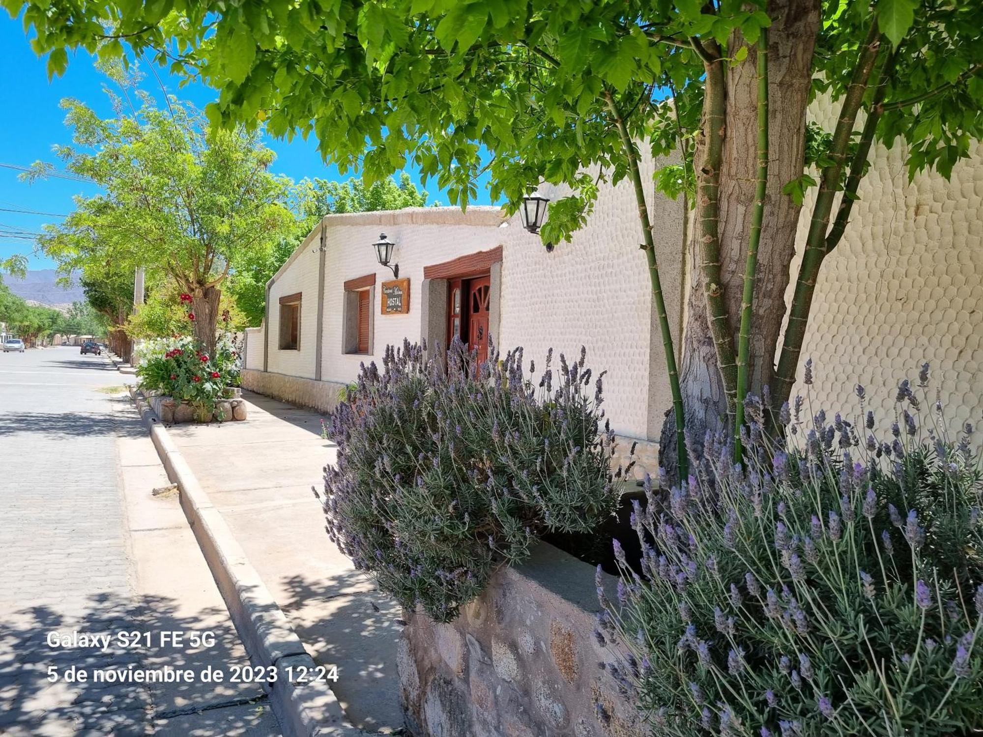 Cardones De Molinos B&B 외부 사진